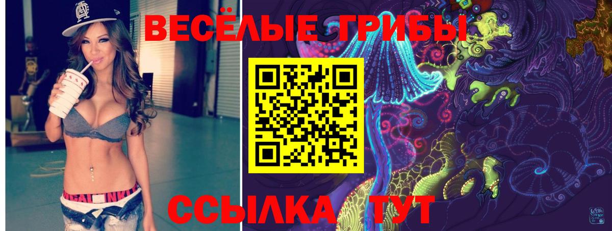 Домодедово  даркнет сайт  Вход с VPN  Псилоцибиновые грибы мухоморы 